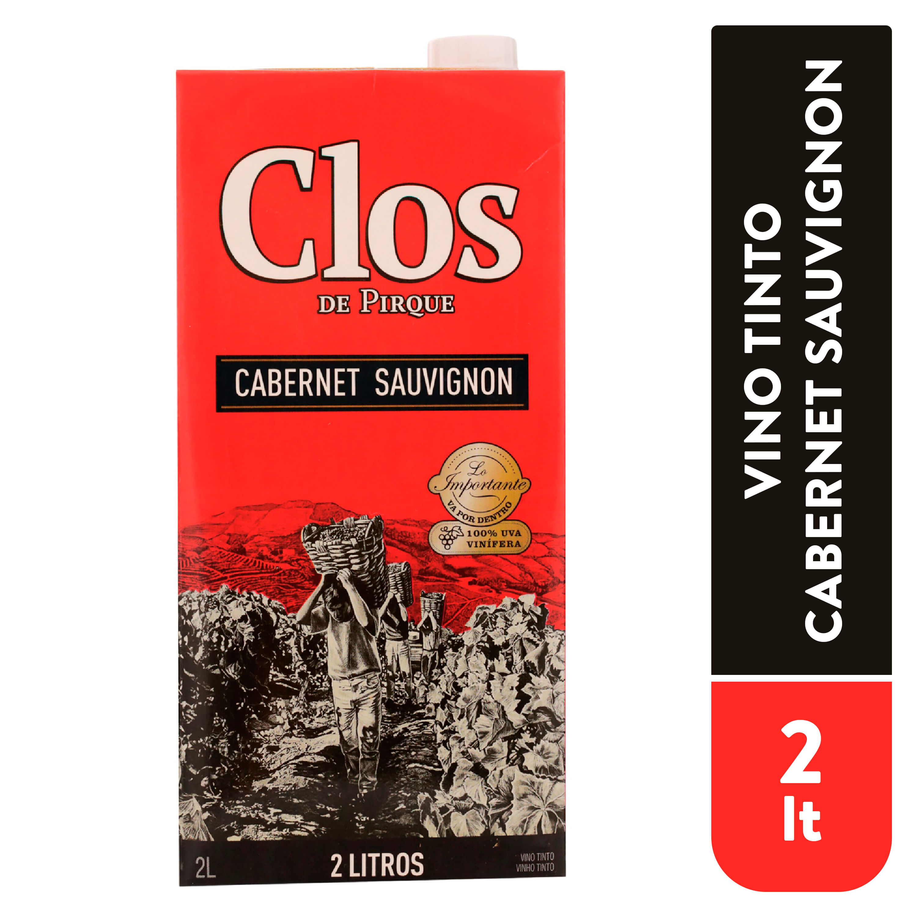 Vino-Clos-Dp-Cabernet-Tinto-Sauvignon-2000Ml-1-34606