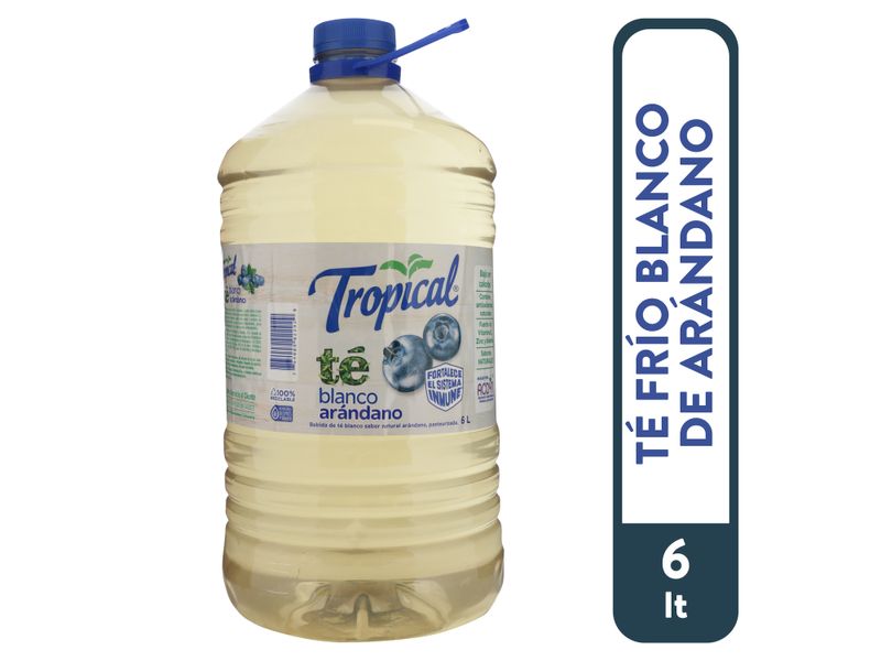 Refresco-Tropical-Te-Blanco-Pet-6000ml-1-32938