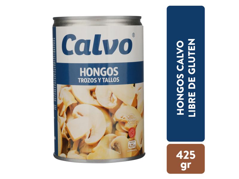 Hongos-Calvo-Trozos-Y-Tallos-227Gr-1-67926