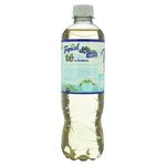 Refresco-Tropical-Te-Blanco-Cero-500ml-2-29610