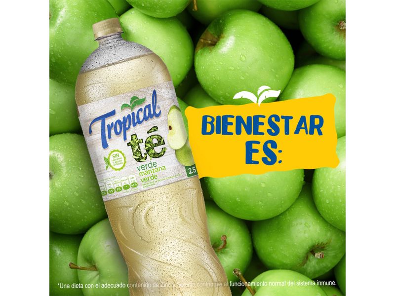 Refresco-Tropical-Te-Verde-Manzana-Petit-2500ml-4-26369