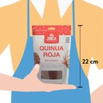 Quinoa-Roja-Jinca-250gr-3-26802