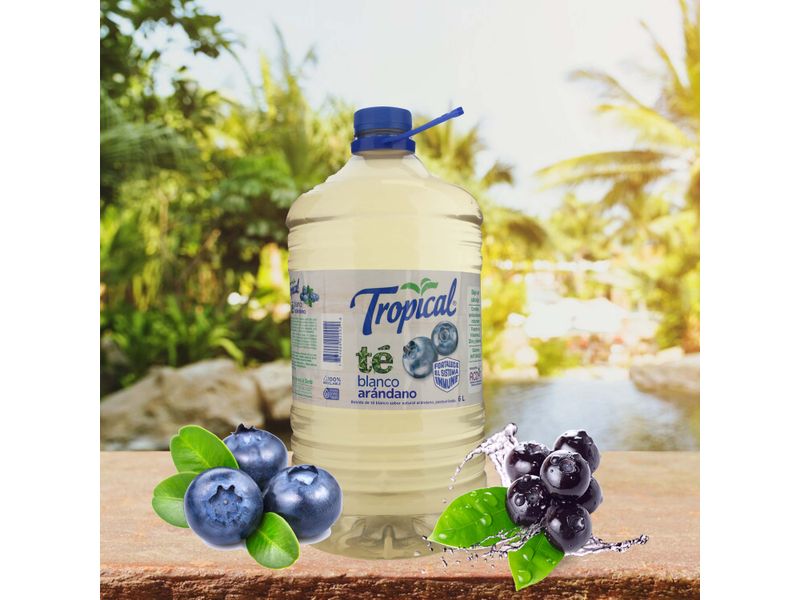 Refresco-Tropical-Te-Blanco-Pet-6000ml-5-32938