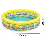 Piscina-Bestway-Floral-Para-Ni-os-168X38-Cm-508-L-5-91061