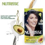 Tinte-Garnier-Nutrisse-Nourishing-Color-10-6-24712