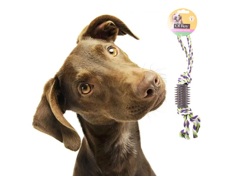 Juguete-Ol-Roy-Para-Perro-Chew-Rubber-4-75664