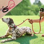 Correa-Ol-Roy-Suave-Colores-Para-Perro-4-77710
