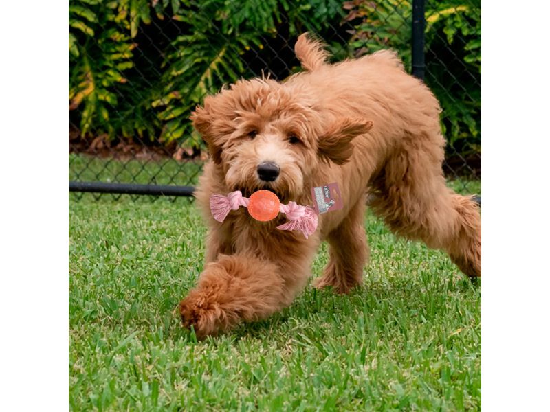 Juguete-Ol-Roy-Con-Cuerda-Color-Para-Perro-4-77723