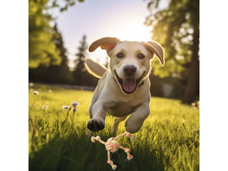 Juguete-Ol-Roy-Con-Cuerda-Color-Para-Perro-4-77724