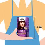 Tinte-Palette-Cc-688-Rubio-50Gr-5-29971
