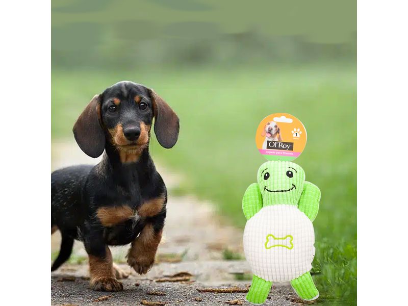 Juguete-Ol-Roy-Mascota-Puppy-Toy-Soft-2-5-74505