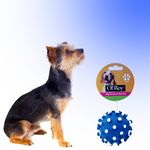 Juguete-Ol-Roy-Pelota-Puntos-Vinyl-Toy4-5-75794