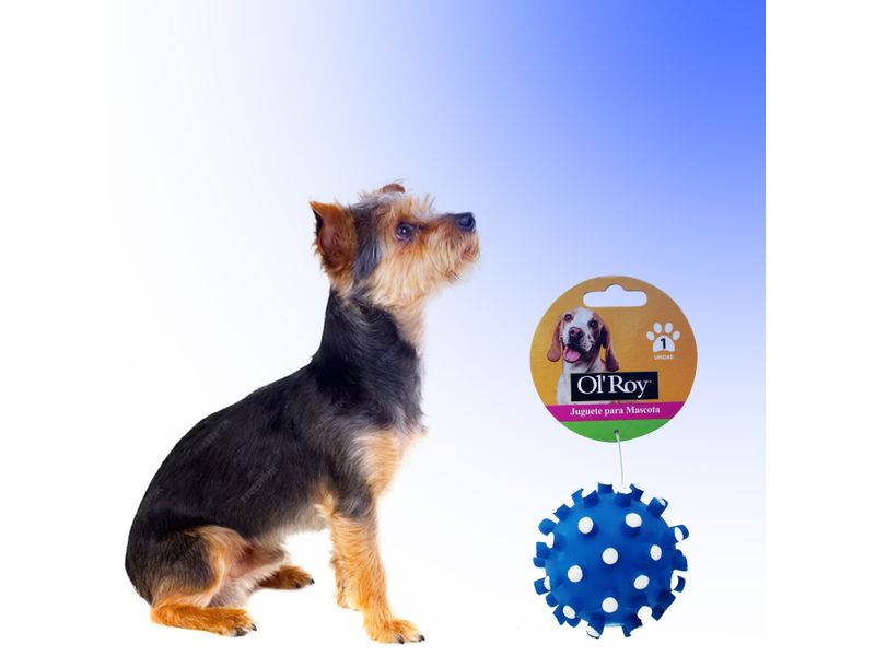 Juguete-Ol-Roy-Pelota-Puntos-Vinyl-Toy4-5-75794