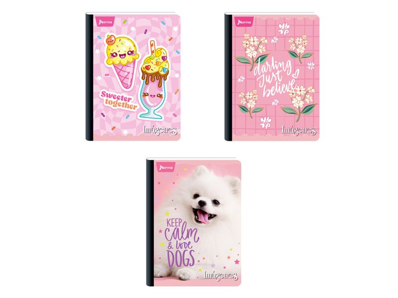 Cuaderno-Norma-cosido-Surtido-100-hojas-4-97021
