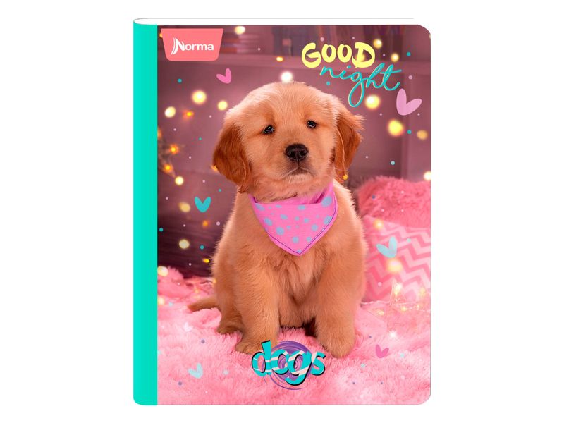 Cuaderno-Norma-cosido-Surtido-100-hojas-2-97025