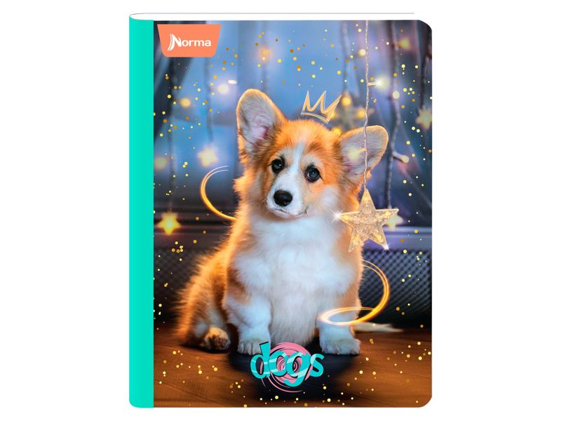 Cuaderno-Norma-cosido-Surtido-100-hojas-3-97025