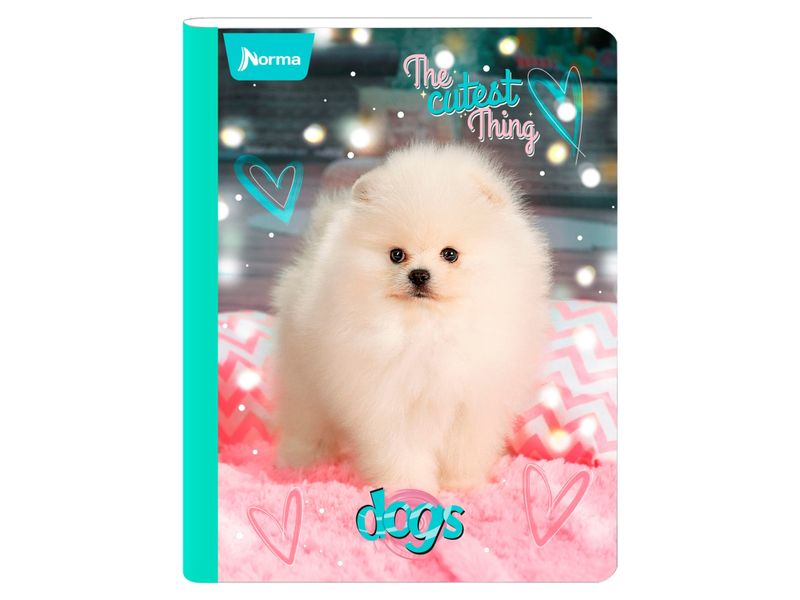 Cuaderno-Norma-cosido-Surtido-100-hojas-4-97025