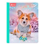 Cuaderno-Norma-cosido-Surtido-100-hojas-5-97025
