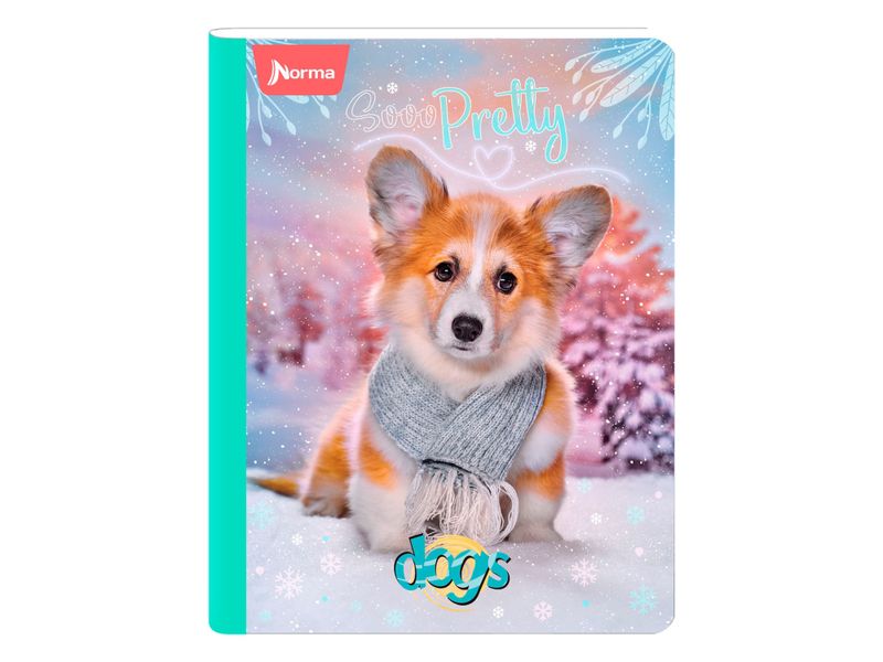 Cuaderno-Norma-cosido-Surtido-100-hojas-5-97025