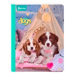 Cuaderno-Norma-cosido-Surtido-100-hojas-7-97025