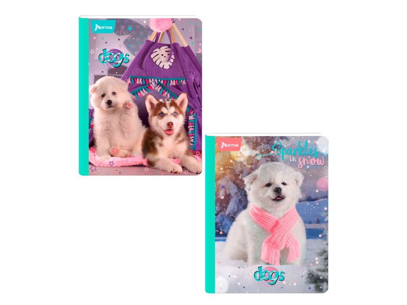 Cuaderno-Norma-cosido-Surtido-100-hojas-8-97025