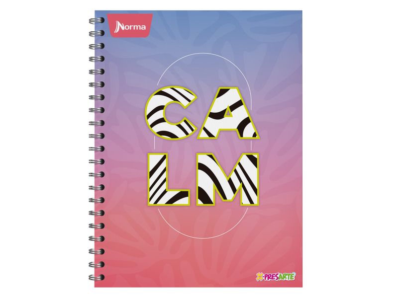 Cuaderno-Norma-cosido-Surtido-100-hojas-2-97031