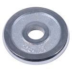 Plato-Cromado-Athletic-Works-5Lb-2-38630