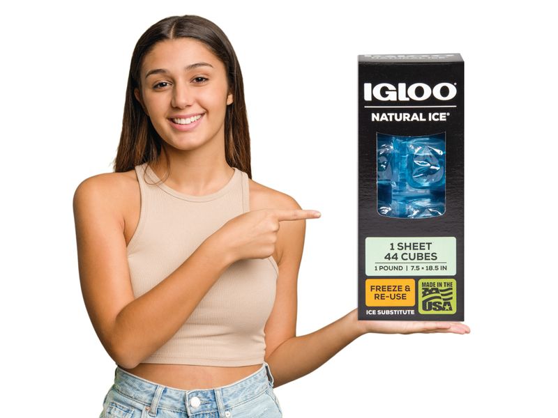 Hielo-Artificial-Igloo-44-5-37076