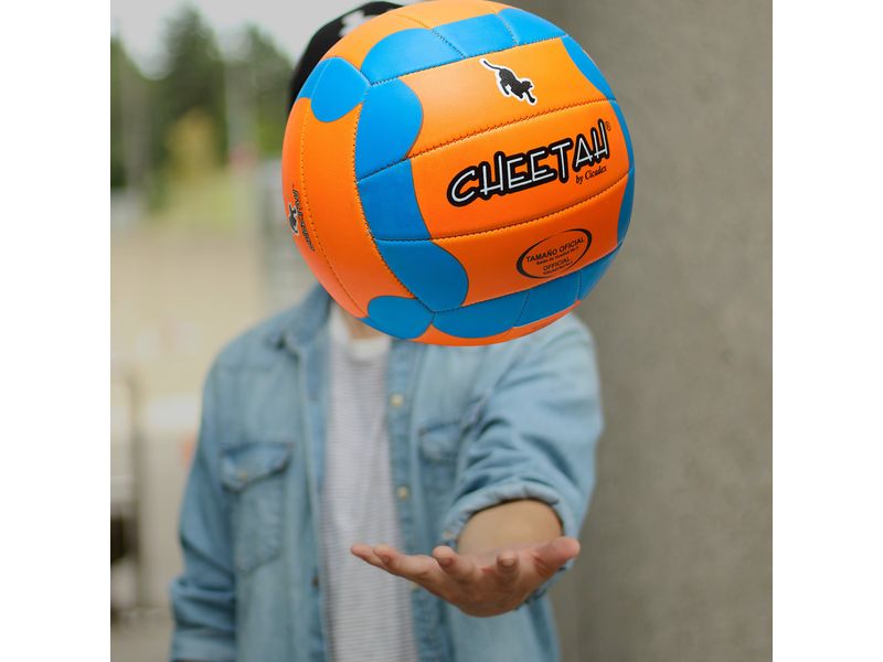 Balon-Volleyball-Pioneer-Cheetah-2-28366