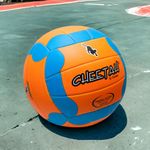 Balon-Volleyball-Pioneer-Cheetah-3-28366