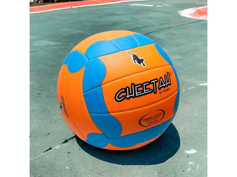 Balon-Volleyball-Pioneer-Cheetah-3-28366