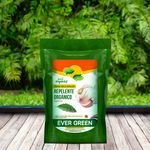 Repelente-L-quido-Ever-Green-Base-De-Ajo-750-Ml-4-40924