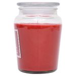 Vela-Aromatica-George-Home-Spiced-Apple-18-onzas-3-44446