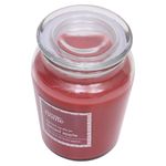 Vela-Aromatica-George-Home-Spiced-Apple-18-onzas-4-44446