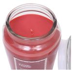 Vela-Aromatica-George-Home-Spiced-Apple-18-onzas-6-44446