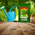 Plaguicida-L-quido-Ever-Green-Hormigreen-750Ml-4-43217