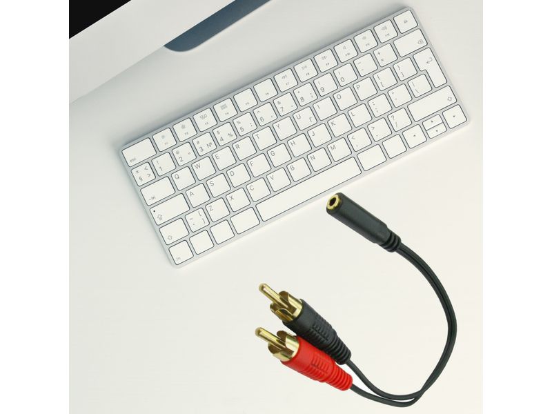 000000000070305401-UN-04