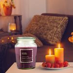 Vela-Arom-tica-George-Home-Sweet-Mulberry-18-onzas-3-47343