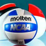 Balon-Voleyball-Molten-5-56768