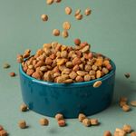 000000000070274299-UN-08