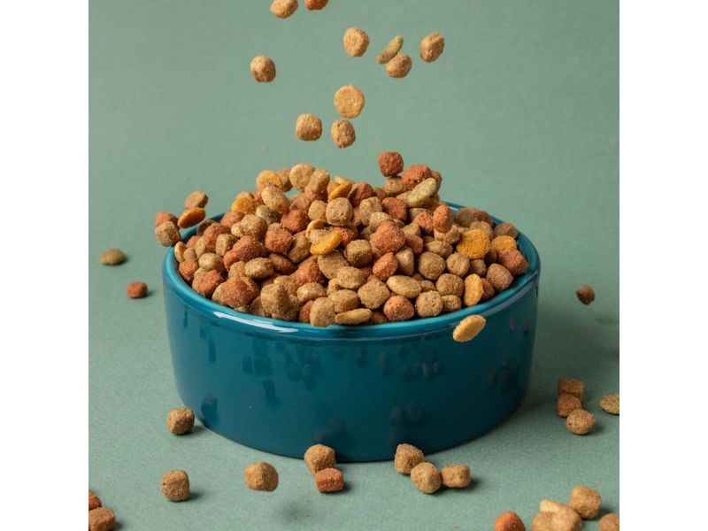 000000000070274299-UN-08