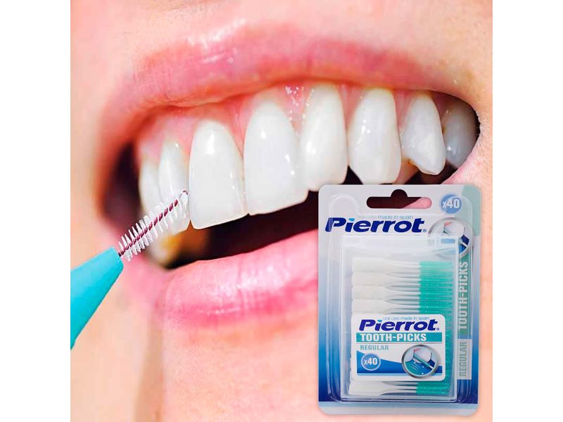 Interdental-Pierrot-Toothpick-40U-5-32301