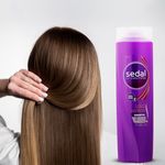 Shampoo-Sedal-Liso-Perfecto-340ml-4-34934