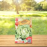 Semillas-Sol-Naciente-Lechuga-Gotte-4-87155