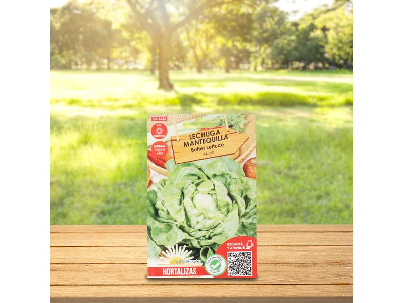 Semillas-Sol-Naciente-Lechuga-Gotte-4-87155
