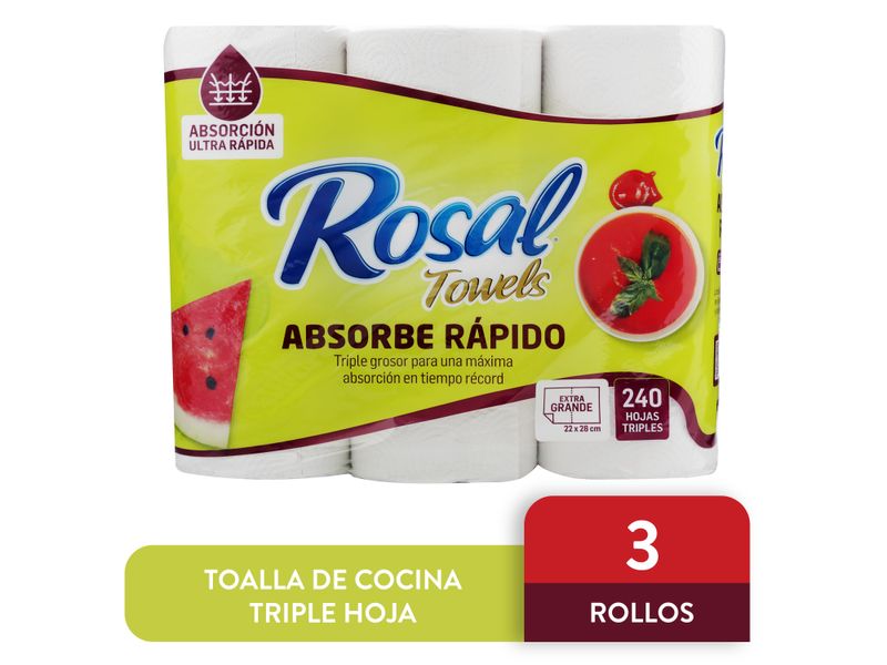 Toalla-de-Papel-Rosal-Towels-R-pida-Absorci-n-3-Rollos-1-35094