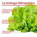 3-Pack-Lechuga-Salanova-Hidroponica-Unidad-3-27247