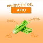 Apio-Verde-Kilo-Altura-Entre-65-A-73-Cm-Y-Ancho-De-17-A-22-Cm-aproximadamente-3-26175