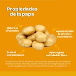 Papa-Granel-Kilo-4-a-7-unidades-Aproximadamente-3-26189