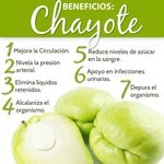 Chayote-Cocoro-Tierno-Empacado-500Gr-3-26202